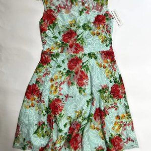 Shelby & Palmer lace dress size 6 foam green red coral